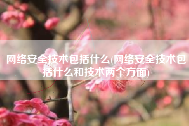 网络安全技术包括什么(网络安全技术包括什么和技术两个方面)