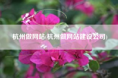 杭州做网站(杭州做网站建设公司)