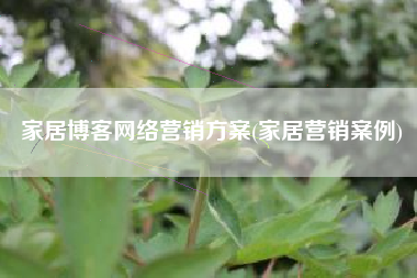家居博客网络营销方案(家居营销案例)