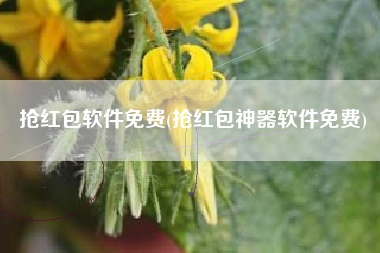 抢红包软件免费(抢红包神器软件免费)