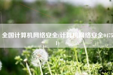 全国计算机网络安全(计算机网络安全04751)