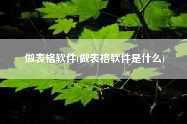 做表格软件(做表格软件是什么)