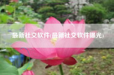 最新社交软件(最新社交软件曝光)