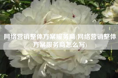 网络营销整体方案服务商(网络营销整体方案服务商怎么写)