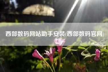 西部数码网站助手安装(西部数码官网)