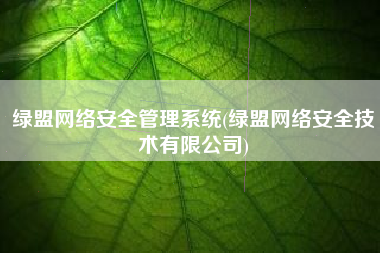 绿盟网络安全管理系统(绿盟网络安全技术有限公司)