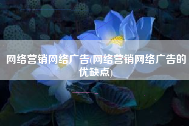 网络营销网络广告(网络营销网络广告的优缺点)