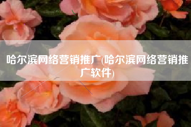 哈尔滨网络营销推广(哈尔滨网络营销推广软件)
