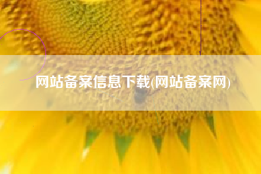 网站备案信息下载(网站备案网)