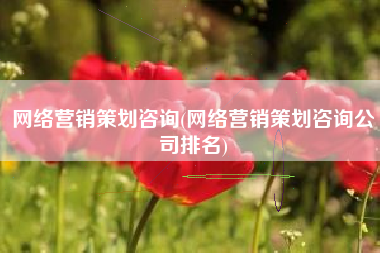 网络营销策划咨询(网络营销策划咨询公司排名)