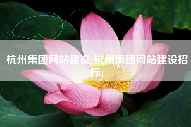 杭州集团网站建设(杭州集团网站建设招标)
