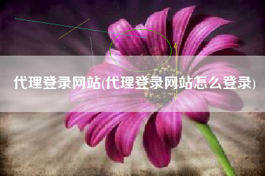 代理登录网站(代理登录网站怎么登录)