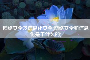 网络安全及信息化安全(网络安全和信息化是干什么的)