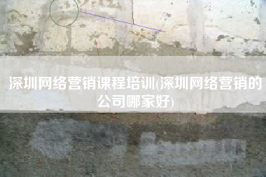 深圳网络营销课程培训(深圳网络营销的公司哪家好)
