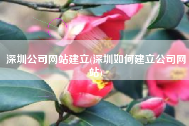 深圳公司网站建立(深圳如何建立公司网站)