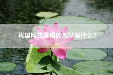 我国网络营销的现状是什么？