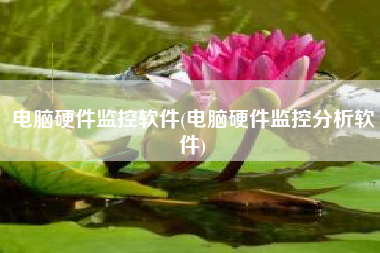 电脑硬件监控软件(电脑硬件监控分析软件)