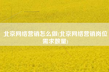 北京网络营销怎么做(北京网络营销岗位需求数量)