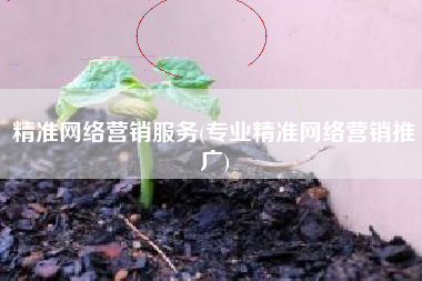 精准网络营销服务(专业精准网络营销推广)