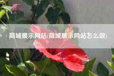 商城展示网站(商城展示网站怎么做)