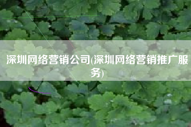 深圳网络营销公司(深圳网络营销推广服务)