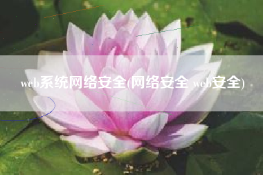 web系统网络安全(网络安全 web安全)
