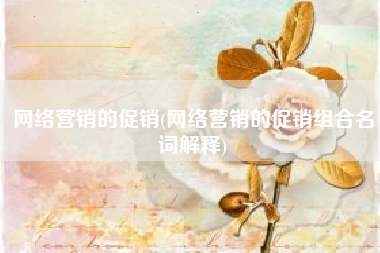网络营销的促销(网络营销的促销组合名词解释)