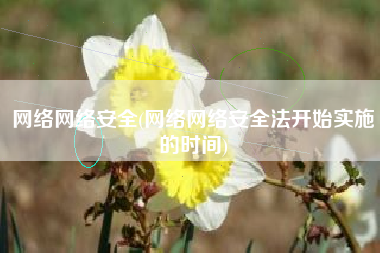 网络网络安全(网络网络安全法开始实施的时间)