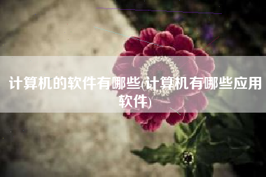 计算机的软件有哪些(计算机有哪些应用软件)