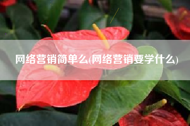 网络营销简单么(网络营销要学什么)