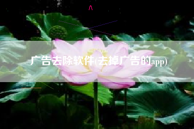 广告去除软件(去掉广告的app)