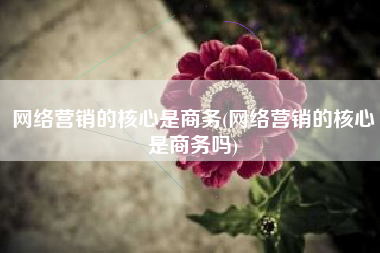 网络营销的核心是商务(网络营销的核心是商务吗)