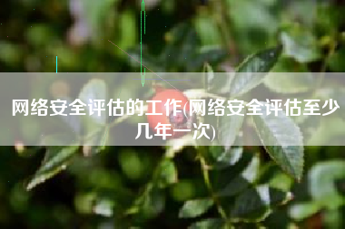 网络安全评估的工作(网络安全评估至少几年一次)