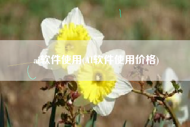 ai软件使用(AI软件使用价格)
