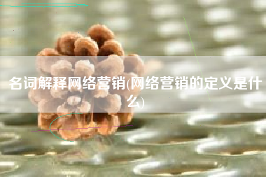 名词解释网络营销(网络营销的定义是什么)