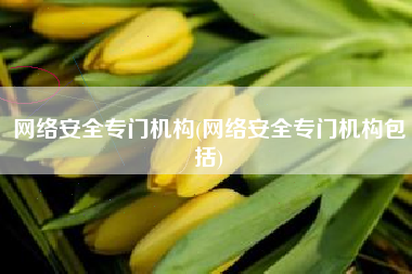 网络安全专门机构(网络安全专门机构包括)