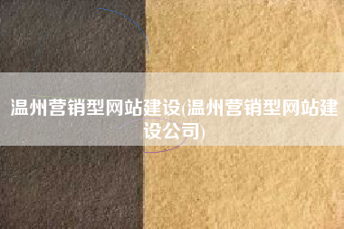 温州营销型网站建设(温州营销型网站建设公司)