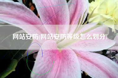 网站安防(网站安防等级怎么划分)
