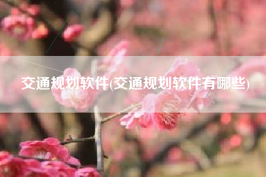 交通规划软件(交通规划软件有哪些)
