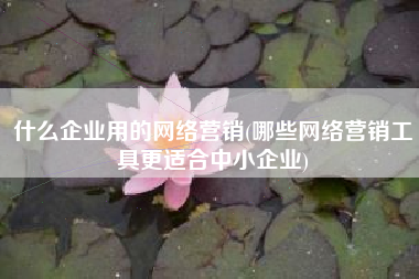 什么企业用的网络营销(哪些网络营销工具更适合中小企业)