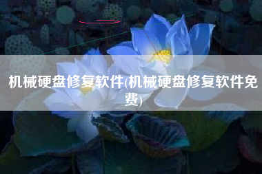 机械硬盘修复软件(机械硬盘修复软件免费)