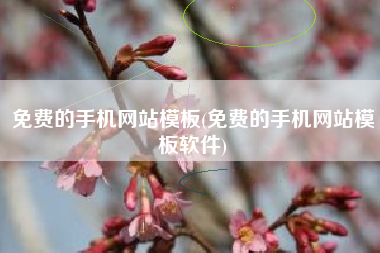 免费的手机网站模板(免费的手机网站模板软件)