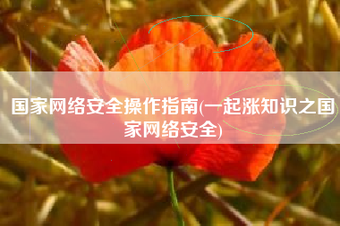 国家网络安全操作指南(一起涨知识之国家网络安全)