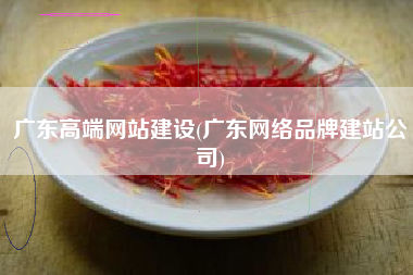 广东高端网站建设(广东网络品牌建站公司)