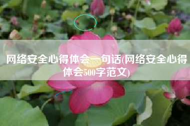 网络安全心得体会一句话(网络安全心得体会500字范文)