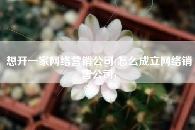 想开一家网络营销公司(怎么成立网络销售公司)