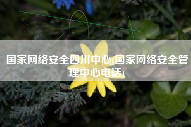 国家网络安全四川中心(国家网络安全管理中心电话)
