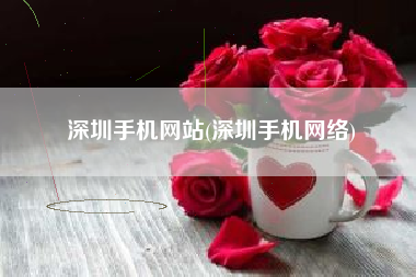 深圳手机网站(深圳手机网络)