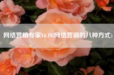 网络营销专家V6.18(网络营销的八种方式)