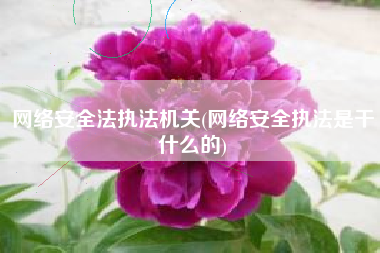 网络安全法执法机关(网络安全执法是干什么的)